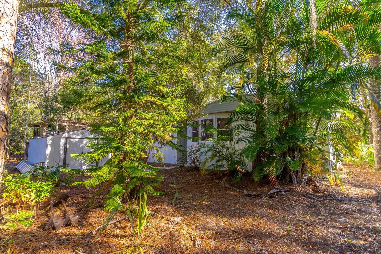 THE FOREST PH TWO - SEC ONE - Residential