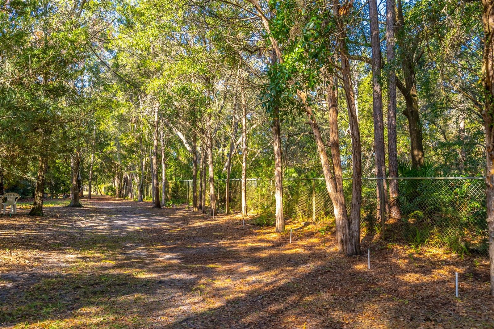 THE FOREST PH TWO - SEC ONE - Residential