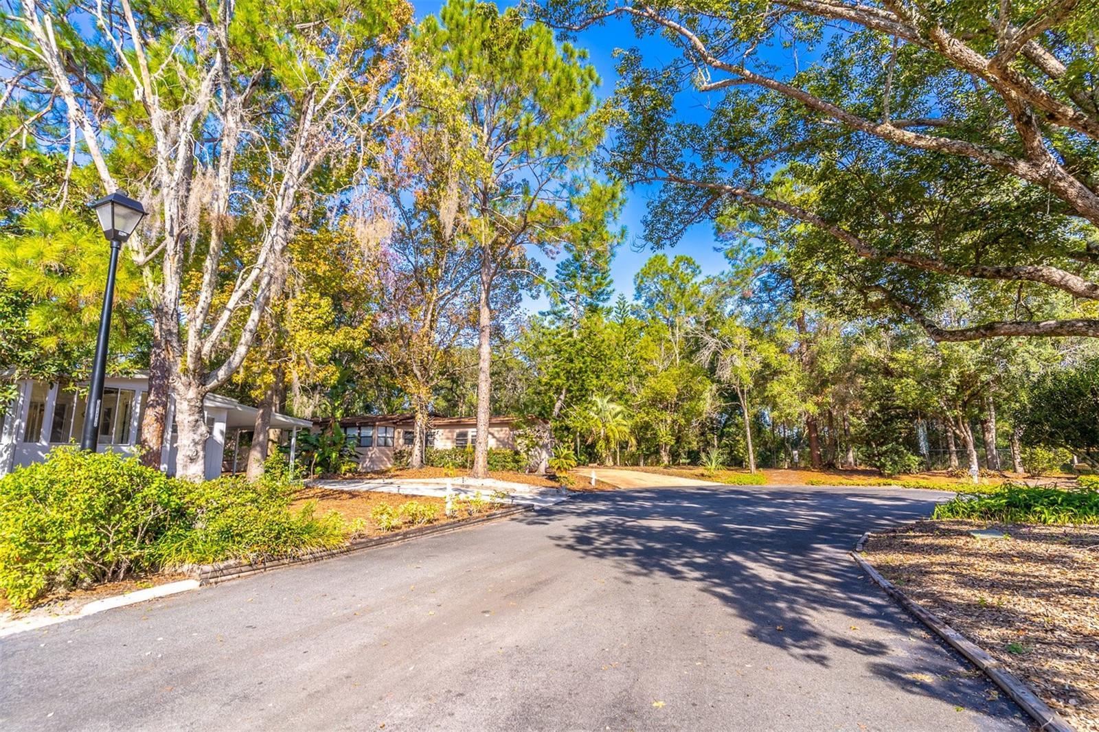 THE FOREST PH TWO - SEC ONE - Residential