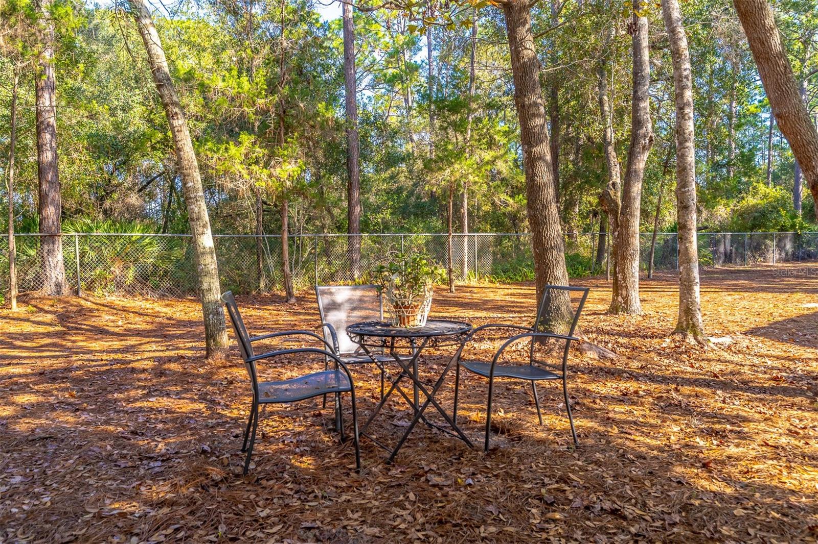 THE FOREST PH TWO - SEC ONE - Residential