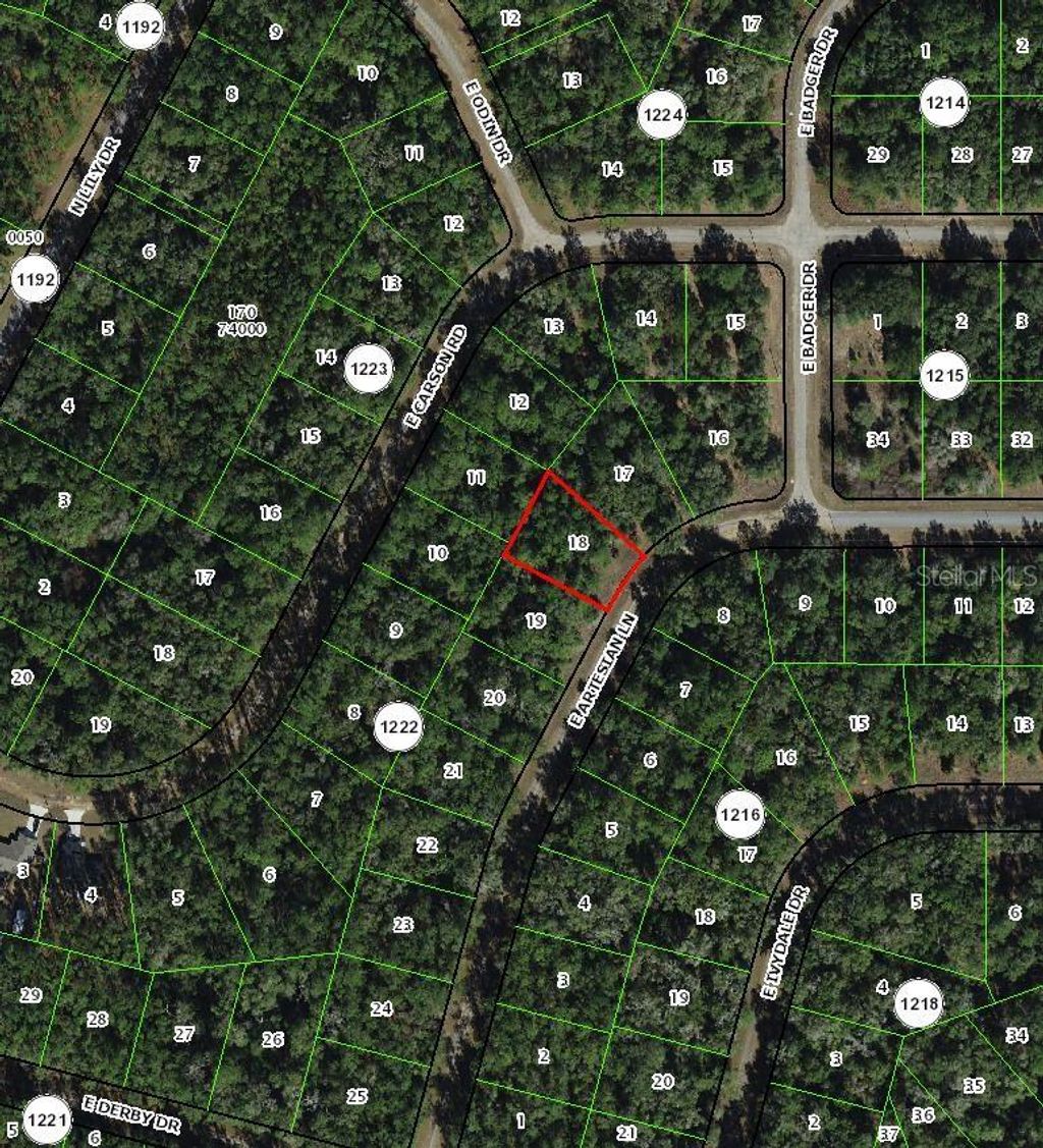 Photo of 8518 N Escobar Road, Dunnellon, FL 34434 (MLS # TB8488540)