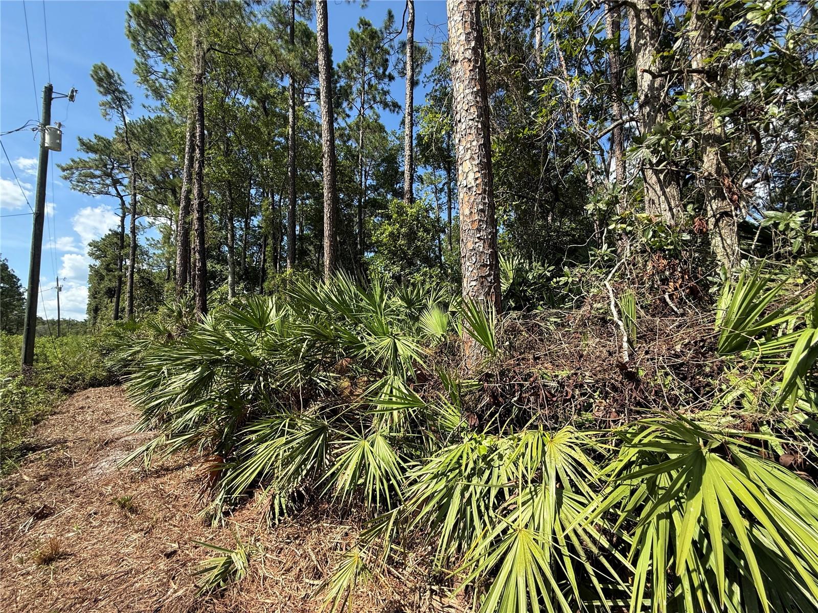 ST JOHNS RIVERSIDE ESTATES - Land