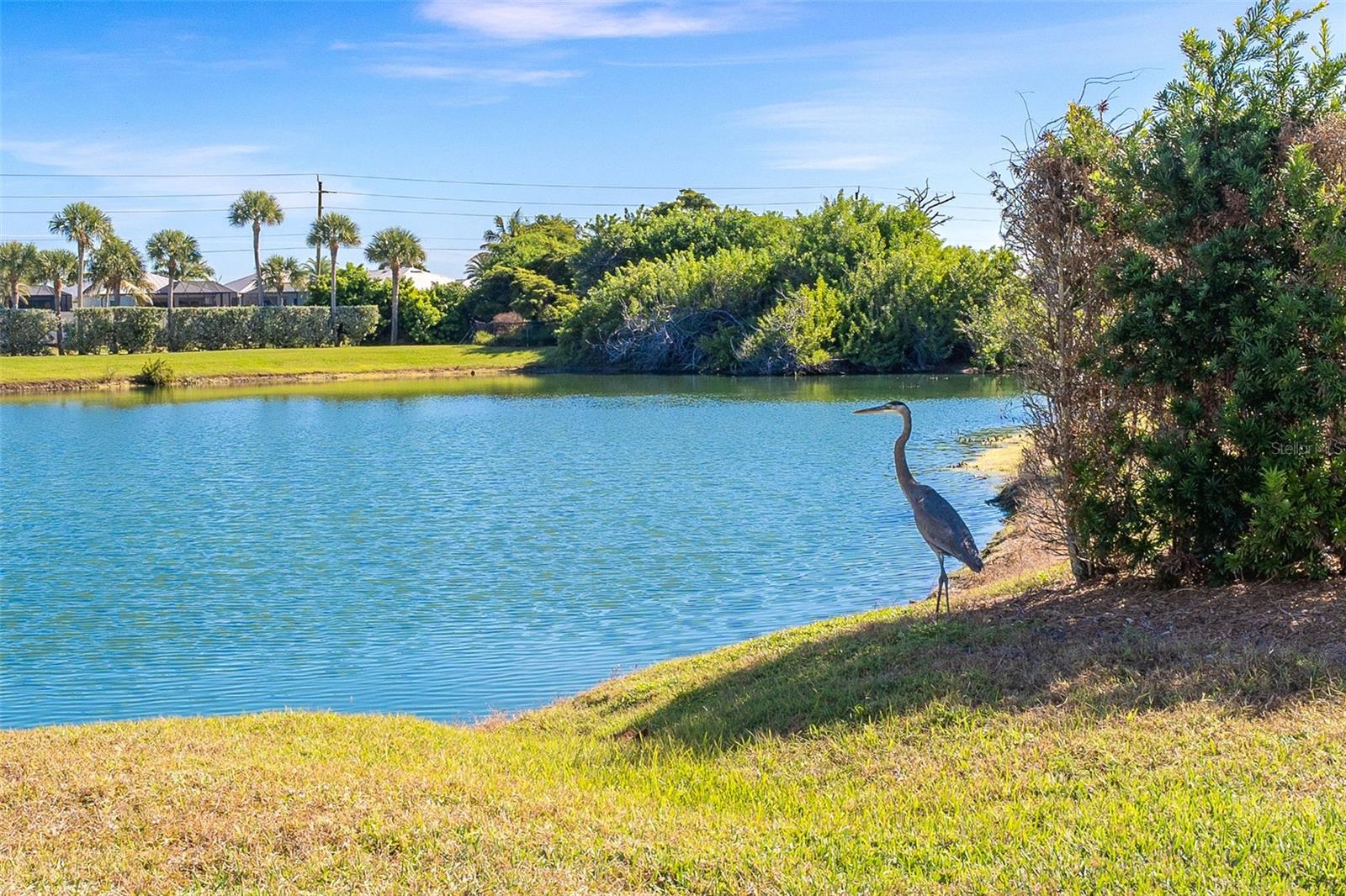 HACIENDA DEL MAR PH 01 - Residential