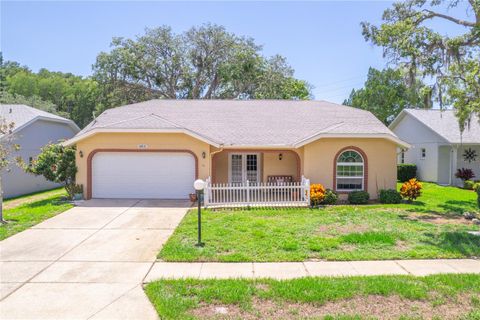 A home in PORT RICHEY