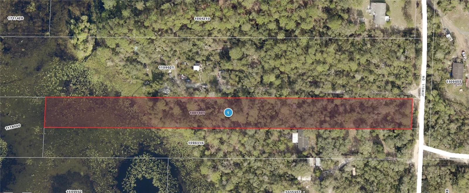 Ready to own almost 2 acres of waterfront property located on Buck Lake! Build your dream home or have your manufactured home nestled on this beautiful piece of property. This property is located within an hour's drive of Florida's famous, Daytona Beach, Ormond Beach and New Smyrna Beach. A 30-mile journey will take you to the vibrant heart of Orlando, where the magic of Walt Disney World and other renowned theme parks await you. Meanwhile, downtown Eustis beckons with it's waterfront dining, boutique shopping and entertainment; boasting one of the last bandshells in the entire state. Picturesque Mount Dora is a mere 15-minute drive away.