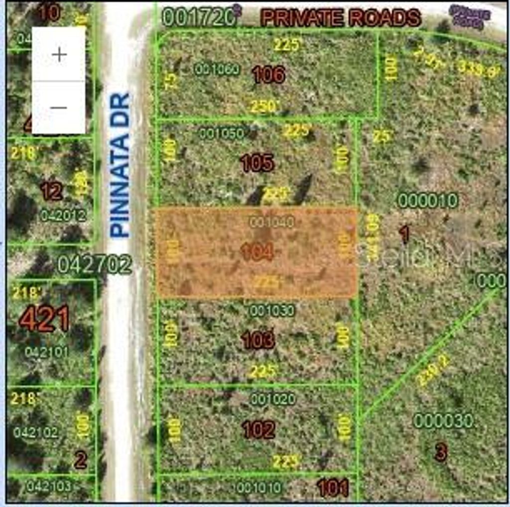 Photo of 0 Pinnata, Indian Lake Estates, FL 33855 (MLS # TB8402138)