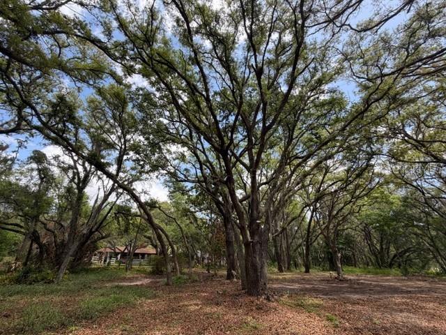 LAKE AVALON GROVES REP - Land