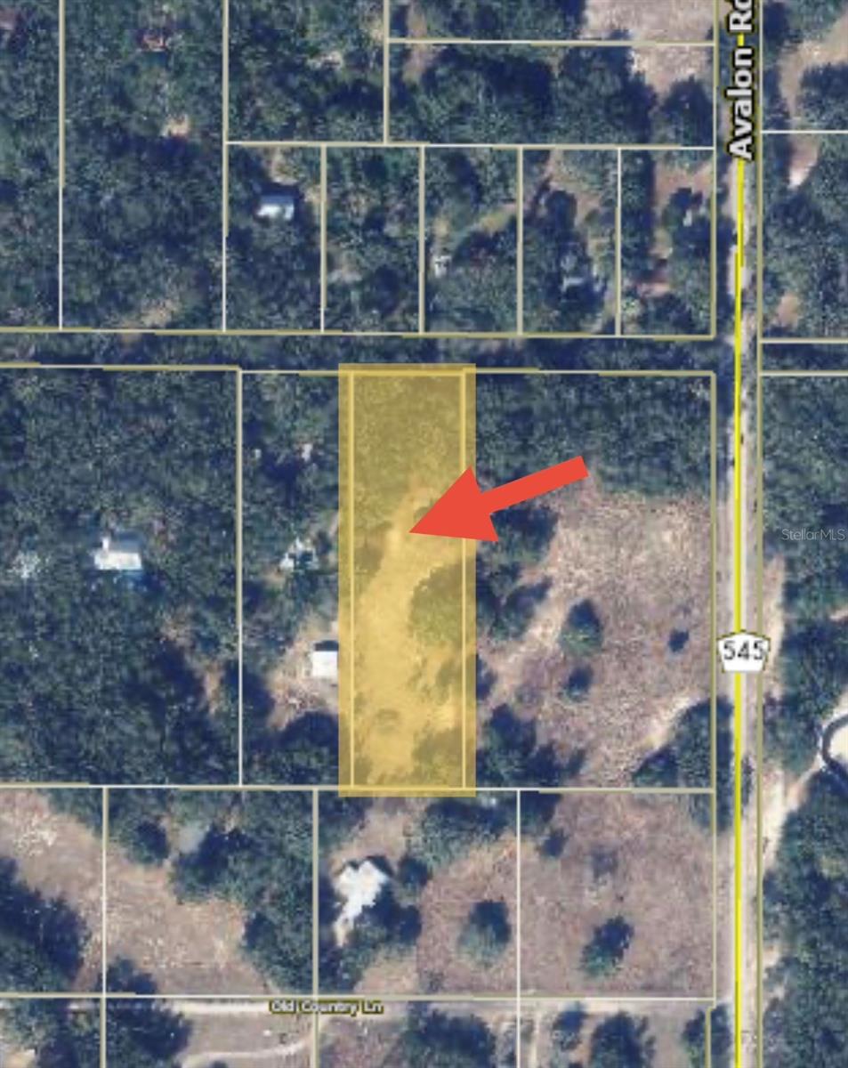 LAKE AVALON GROVES REP - Land