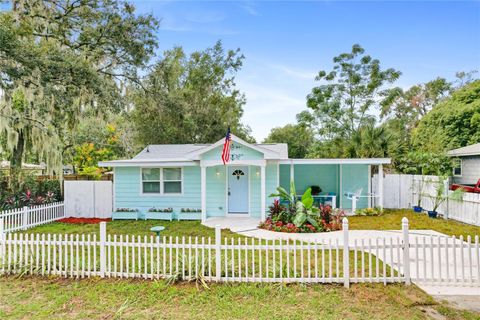 245 S RHODES STREET MOUNT DORA FL 32757
