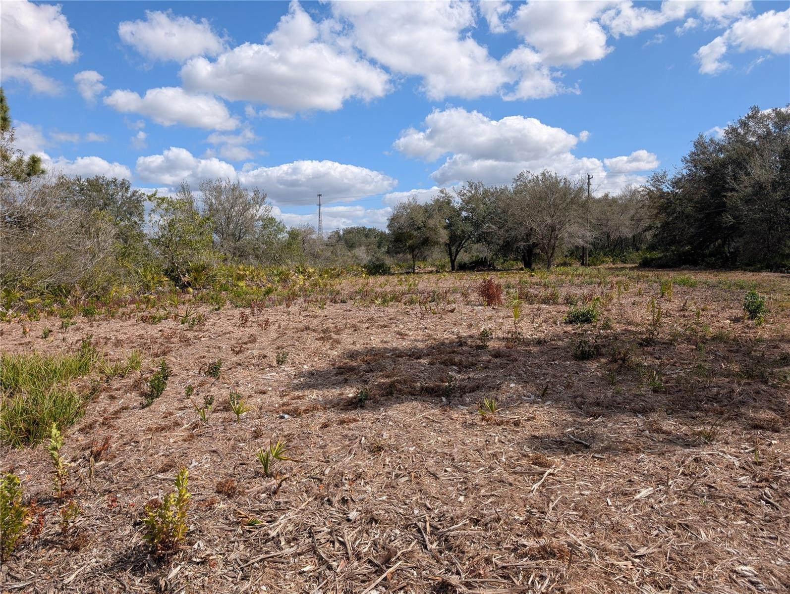 INDIAN LAKE ESTATES - Land