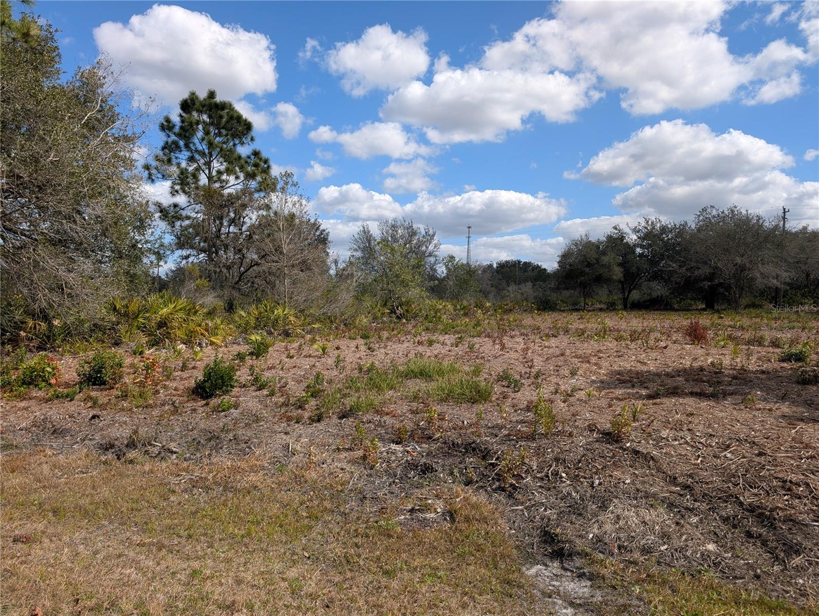 INDIAN LAKE ESTATES - Land