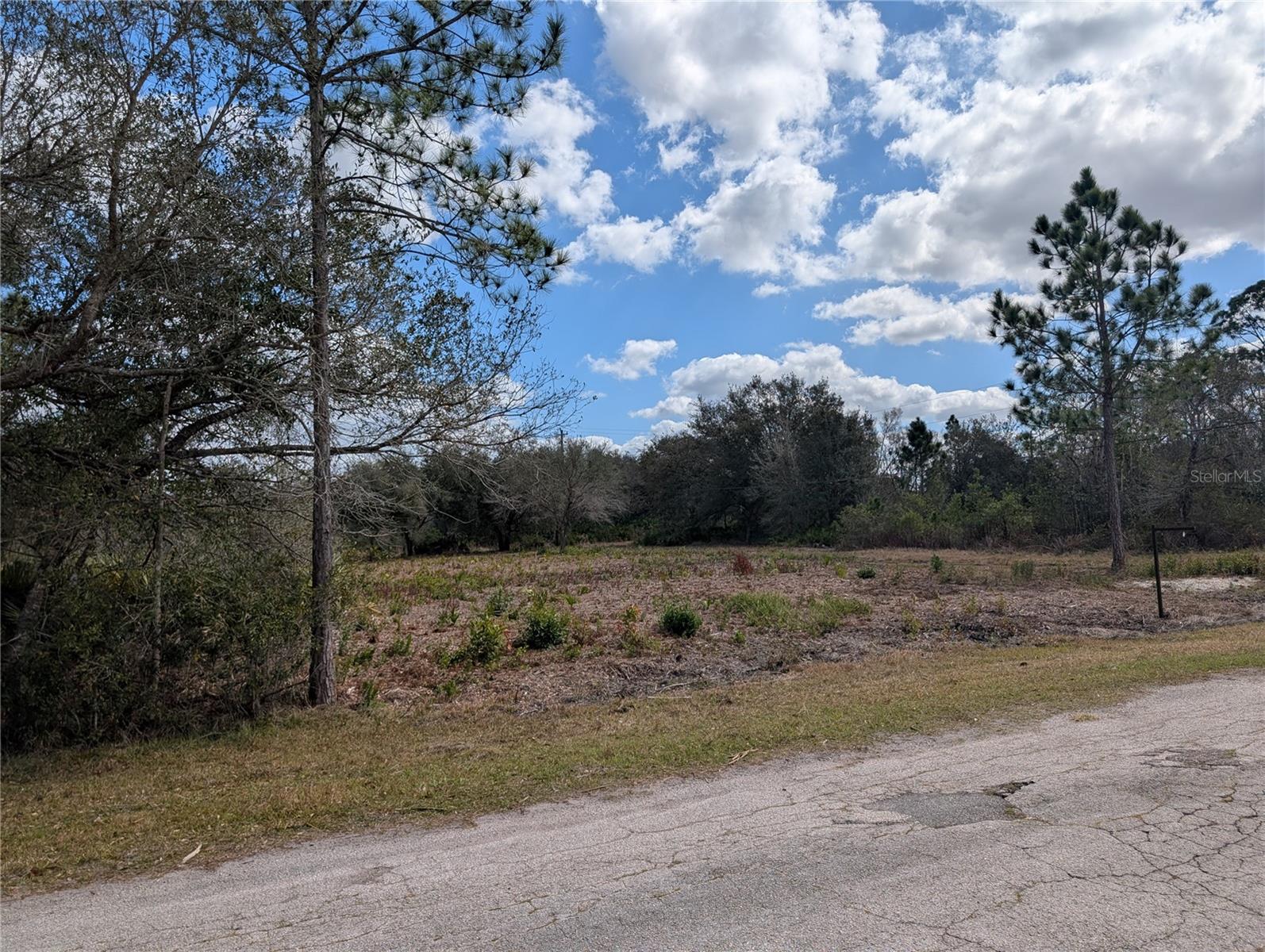 INDIAN LAKE ESTATES - Land