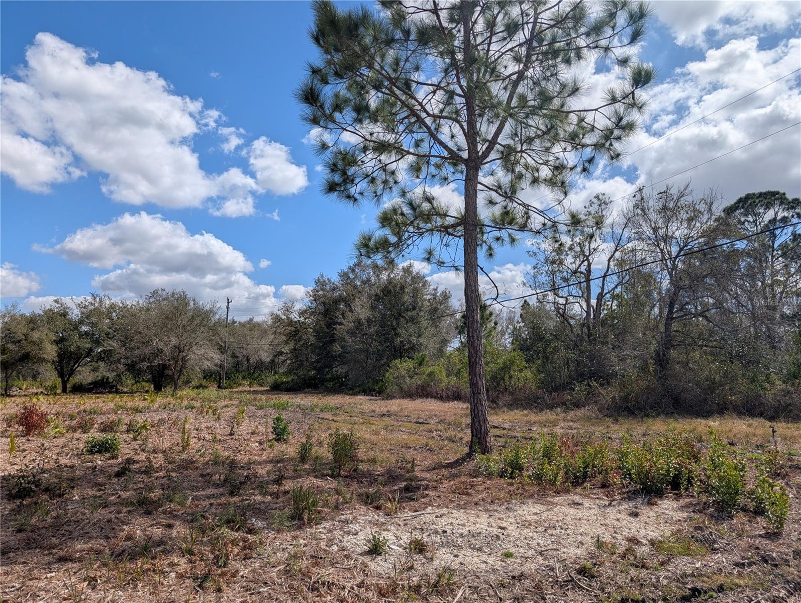 INDIAN LAKE ESTATES - Land