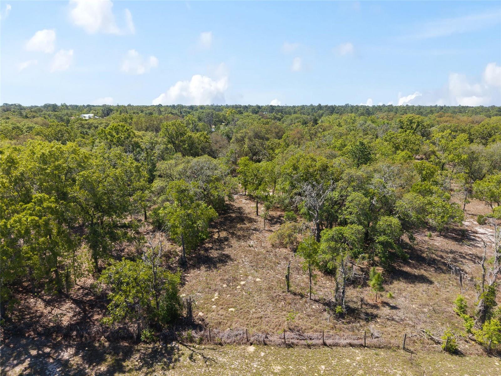 CIRCLE M RANCHETTES - Land