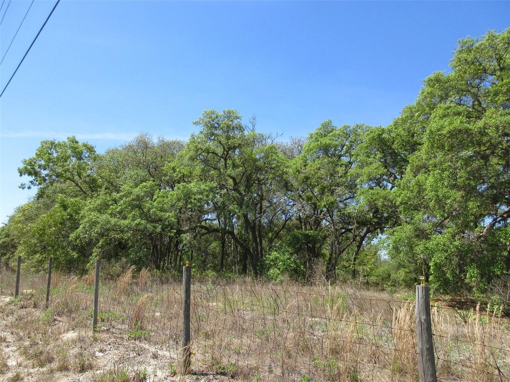 Photo of 5439 W Oakhill Street, Dunnellon, FL 34433 (MLS # OM722833)