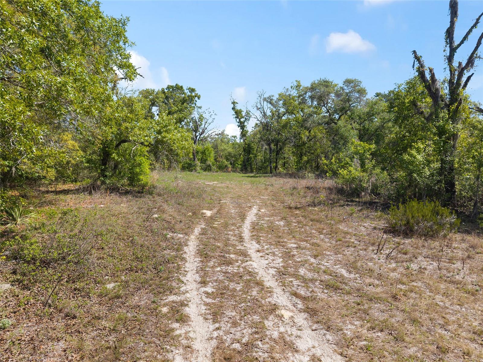 CIRCLE M RANCHETTES - Land