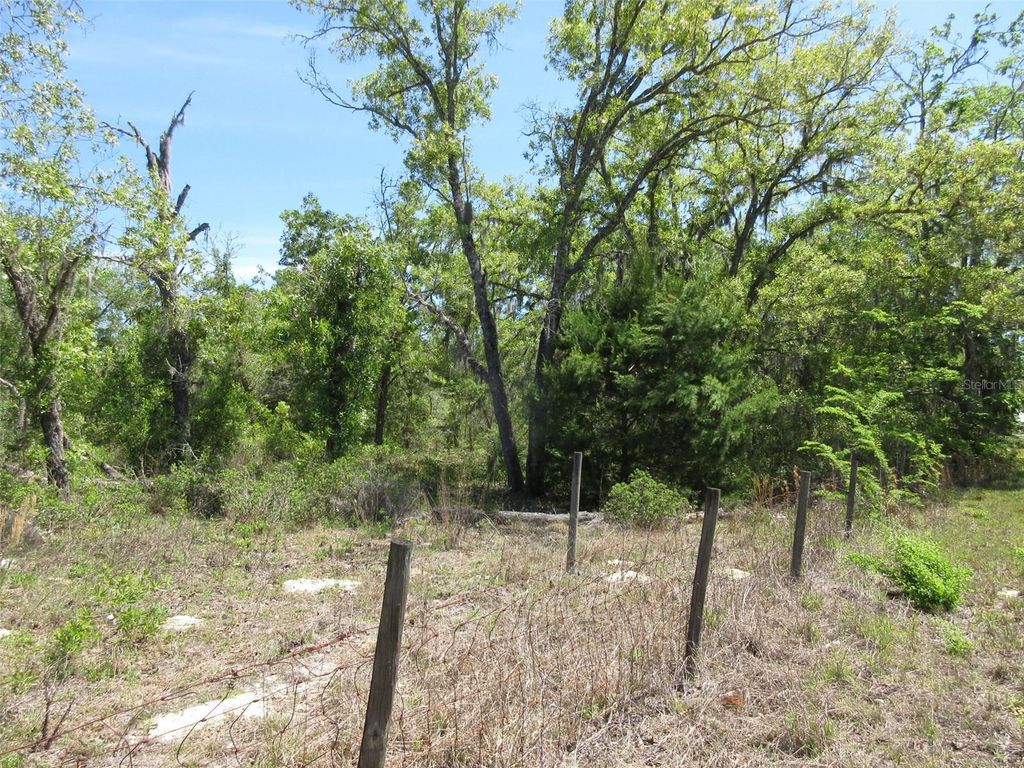 Photo of 5439 W Oakhill Street, Dunnellon, FL 34433 (MLS # OM722833)