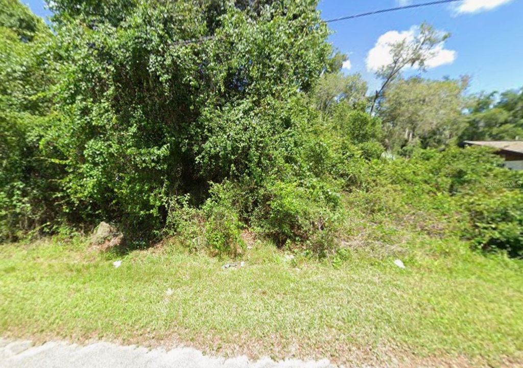 Photo of 4935 S Romans Avenue, Inverness, FL 34450 (MLS # C7515156)