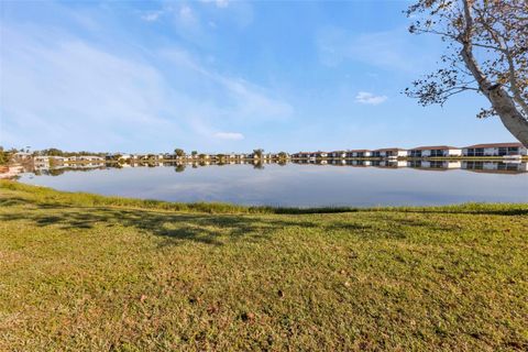 A home in PUNTA GORDA