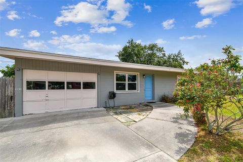 8528 IRIS AVE SEMINOLE FL 33777