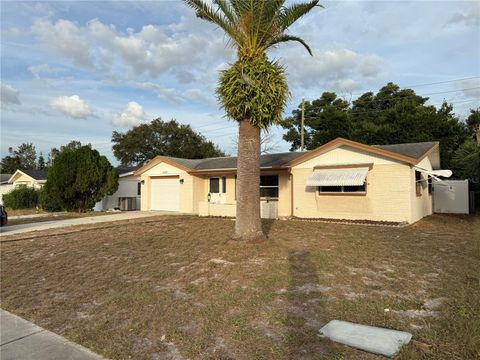 A home in PORT RICHEY