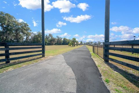 Tiny photo for 2198 W Highway 329, Citra, FL 32113 (MLS # OM712752)