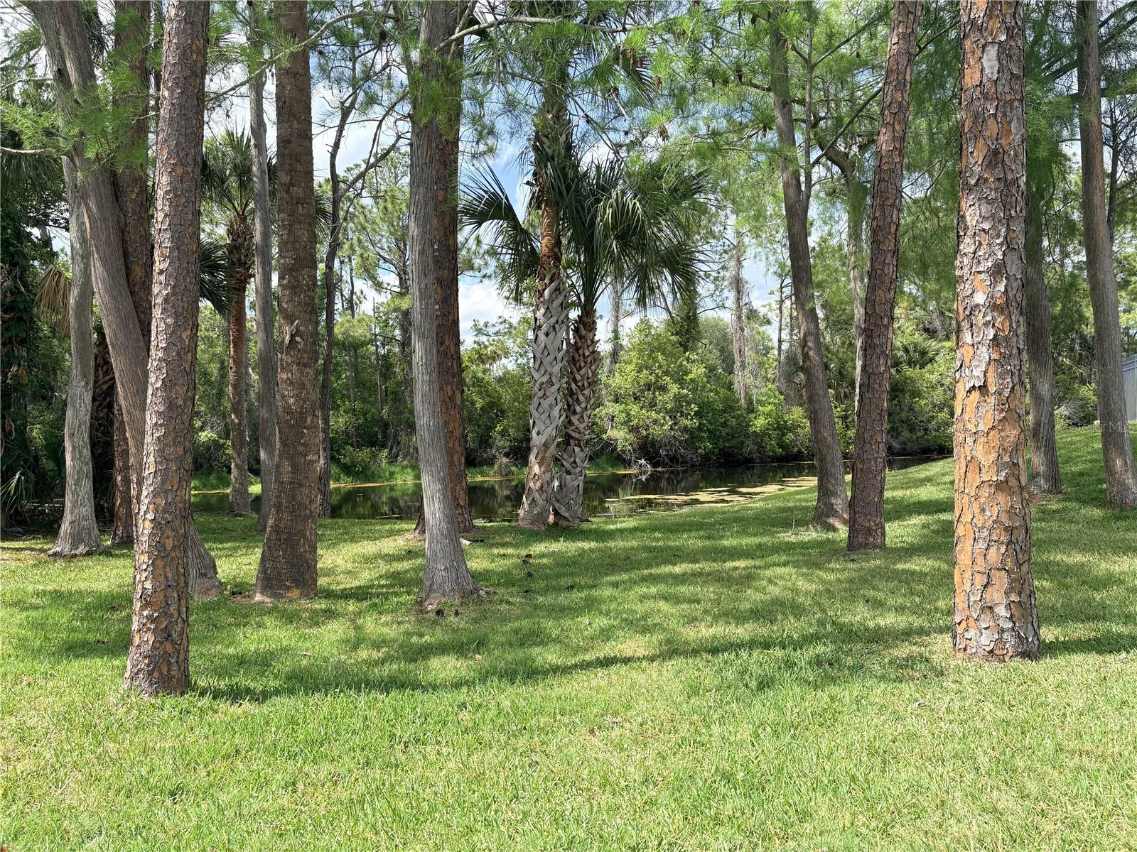 PELICAN BAY - Residential