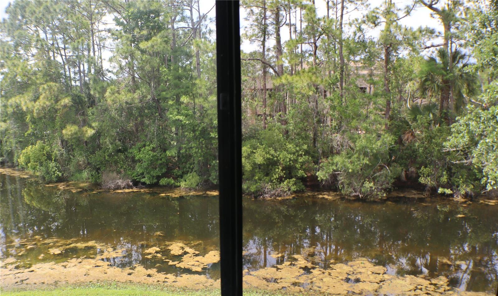 PELICAN BAY - Residential