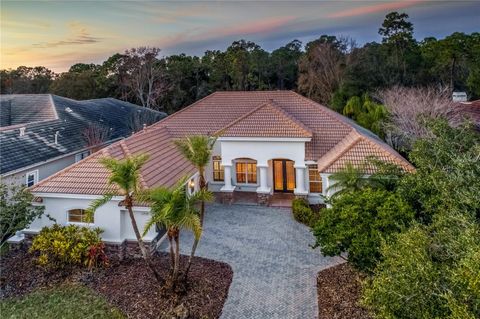 Photo of 11938 Royce Waterford Circle, Tampa, FL 33626 (MLS # TB8391030)