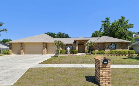 2914 TIMBER KNOLL DRIVE VALRICO FL 33596