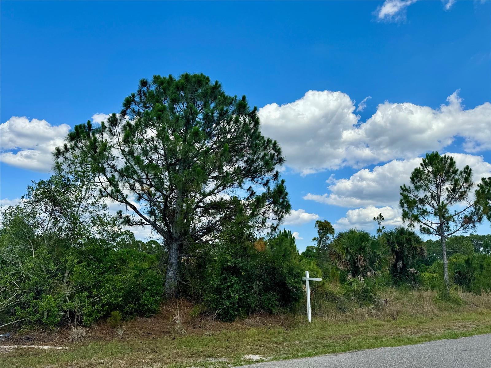 Oversized corner lot for sale measuring 125x48x91x56x100 or .25acres. This property is in a great continuously growing North Port location! Very close distance to Murdock and area shopping, tons of restaurants, parks, sports fields, the new Sunseeker Resort, and everything else you need! This property is also close to tons of golf courses for the avid golfer looking to play a different course every day of the week! Several beaches are located about 30 minutes away, depending on where you choose to go that day! I75 is less than 10 minutes away for easy access north and South throughout the state of Florida. Don't miss your chance to purchase this property today and own a great lot in Port Charlotte close in proximity to everything!