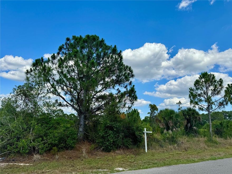 Oversized corner lot for sale measuring 125x48x91x56x100 or .25acres. This property is in a great continuously growing North Port location! Very close distance to Murdock and area shopping, tons of restaurants, parks, sports fields, the new Sunseeker Resort, and everything else you need! This property is also close to tons of golf courses for the avid golfer looking to play a different course every day of the week! Several beaches are located about 30 minutes away, depending on where you choose to go that day! I75 is less than 10 minutes away for easy access north and South throughout the state of Florida. Don't miss your chance to purchase this property today and own a great lot in Port Charlotte close in proximity to everything!
