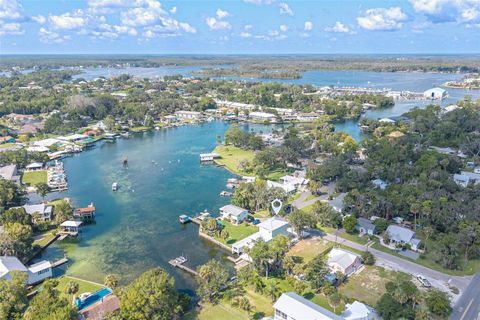 Tiny photo for 202 NE 2nd Avenue, Crystal River, FL 34429 (MLS # OM708725)