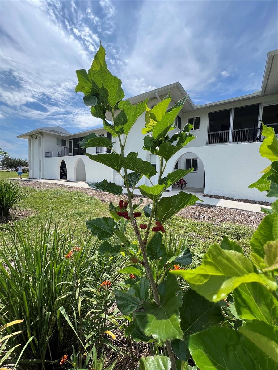 ROTONDA MANOR BLDG B - Residential Lease