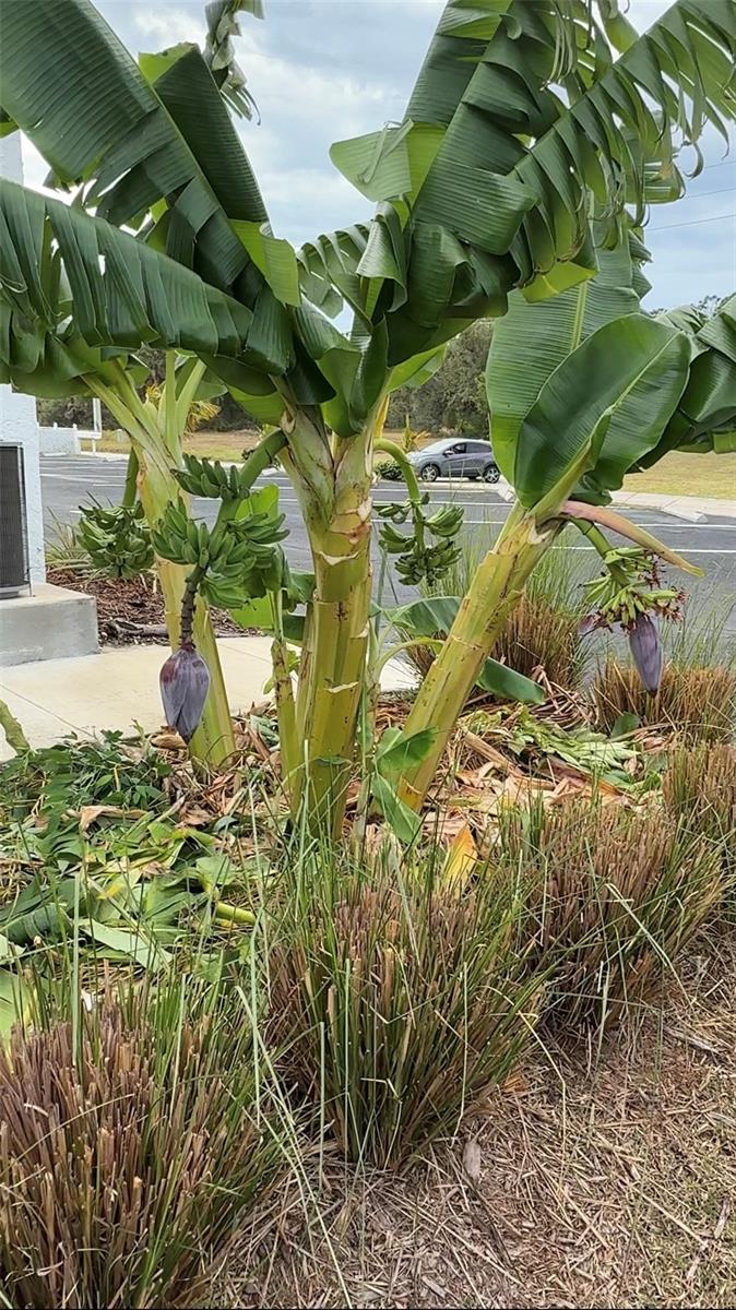 ROTONDA MANOR BLDG B - Residential Lease