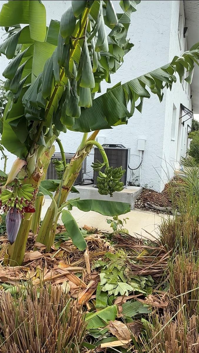 ROTONDA MANOR BLDG B - Residential Lease