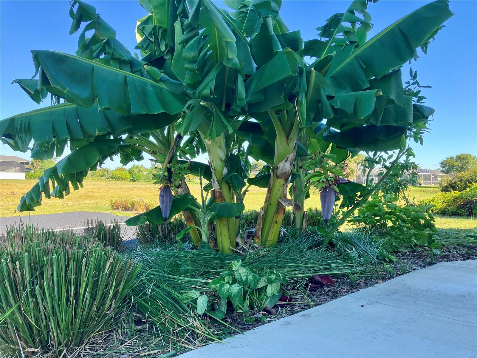 ROTONDA MANOR BLDG B - Residential Lease