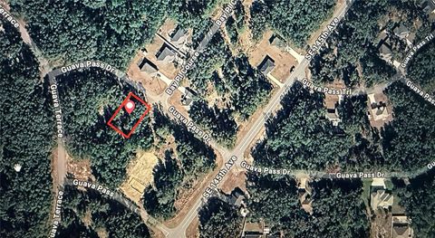 GUAVA PASS OCKLAWAHA FL 32179