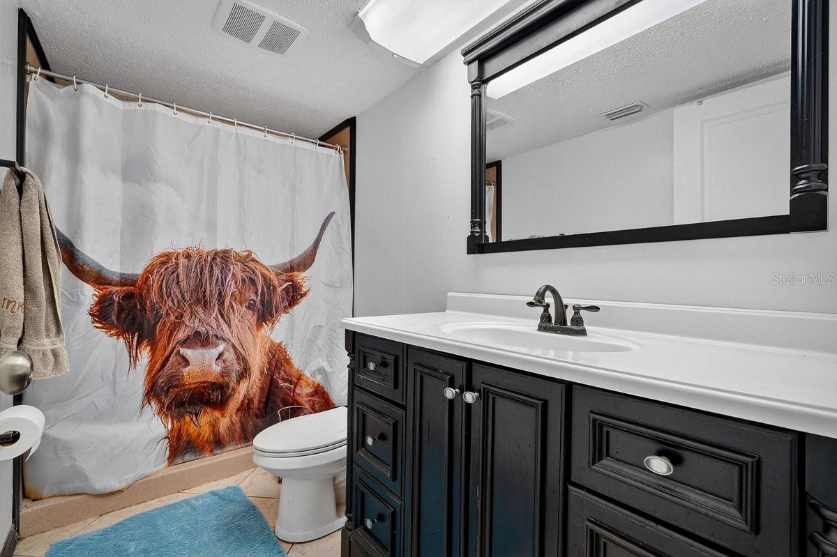 VILLAGE PINE RUN - Residential