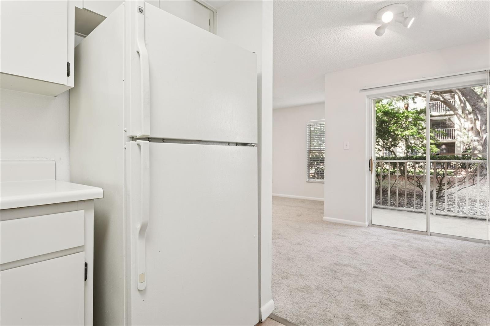 MEADOWLAKE PALM HARBOR CONDO - Residential