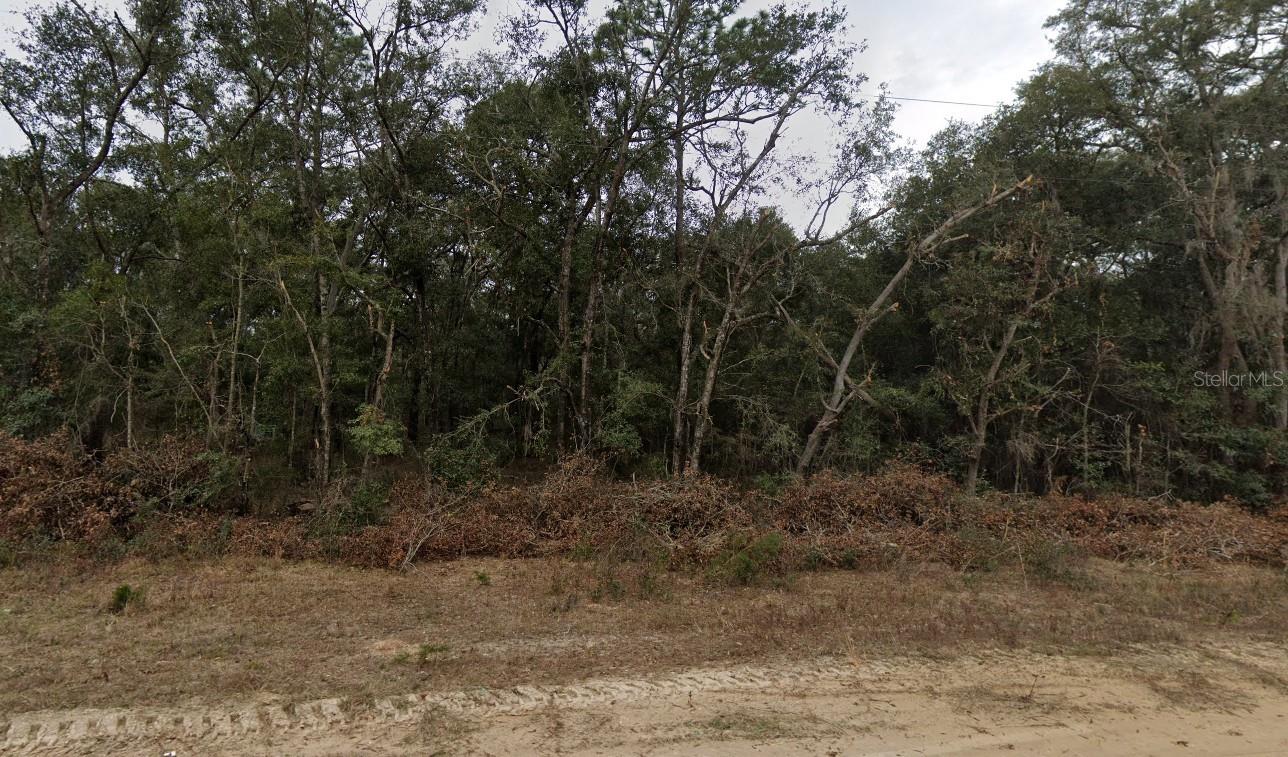 INTERLACHEN LAKES ESTATES - Land