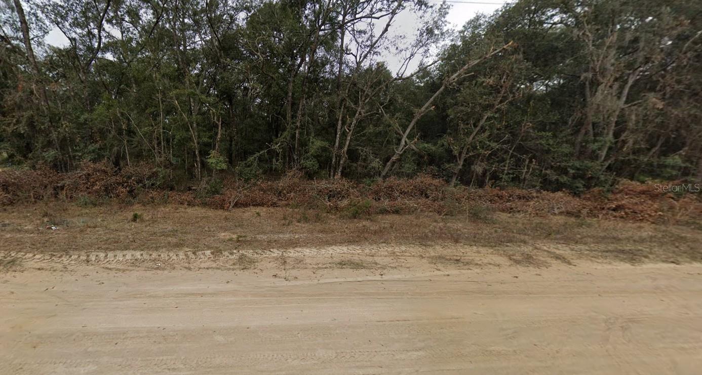 Build your Dream Home on 0.22 Acre Lot set in a nice country setting. Enjoy peace and quiet in this private rural setting on a nice, wooded lot. This property is zoned for a Mobile Home or site-built home. Well, septic, and electric will need to be put on property. Survey recommended to know exact property lines. Buyer responsible for survey, soil test, and review of Florida's new septic law and verifying intended use with Putnam County Planning & Zoning.