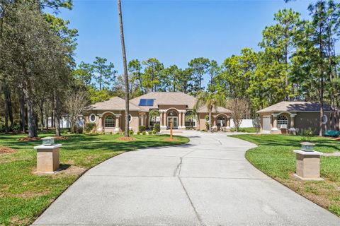 Photo of 13176 Cooper Road, Spring Hill, FL 34609 (MLS # A4686427)