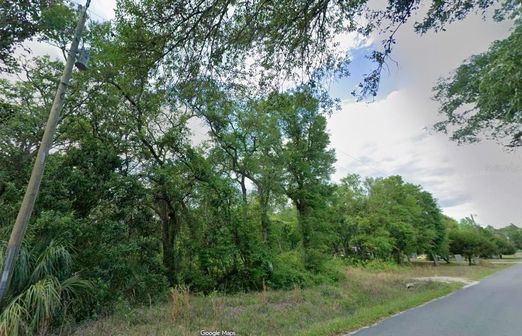Photo of 413 NE 808th Street, Old Town, FL 32680 (MLS # O6427239)