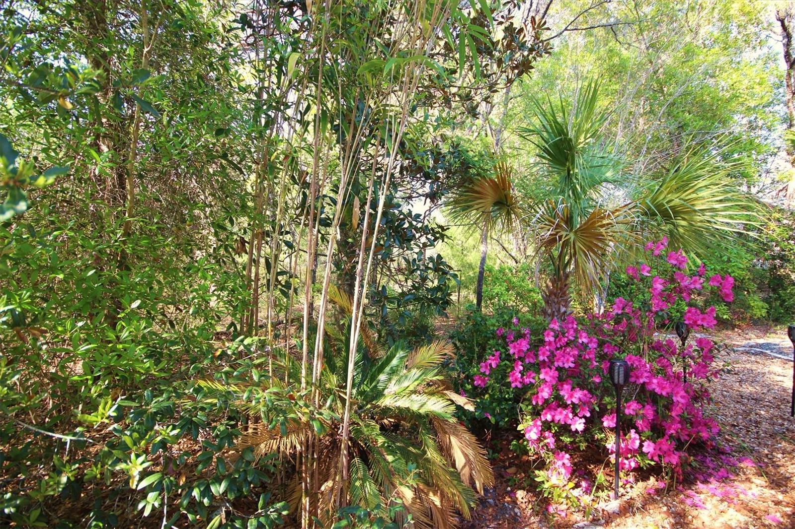 SUGARMILL WOODS OAK VILLAGE - Residential