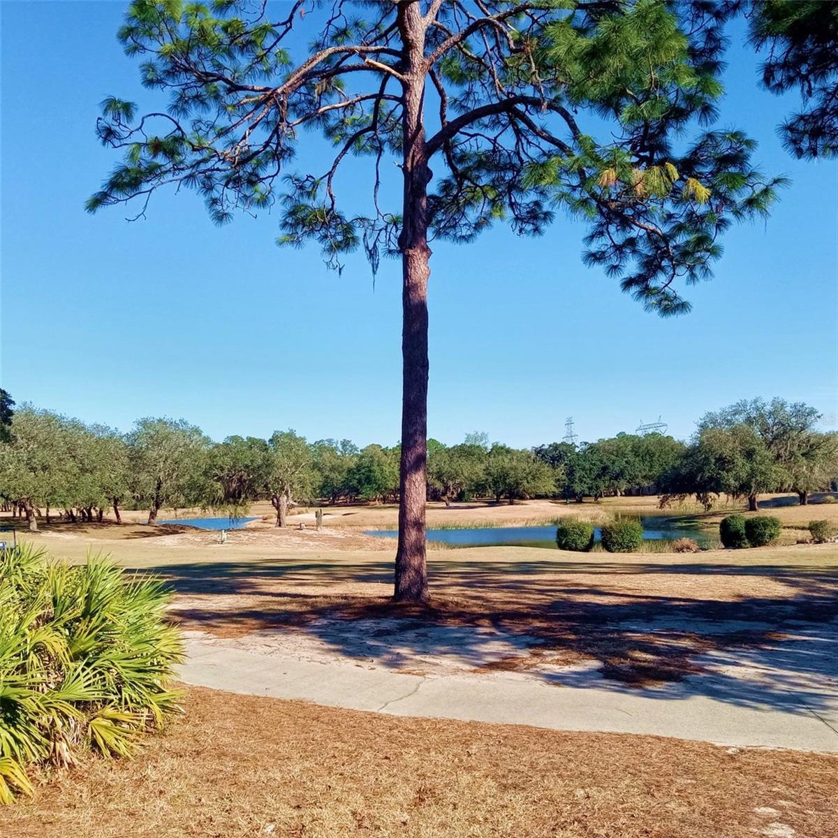 SUGARMILL WOODS OAK VILLAGE - Residential