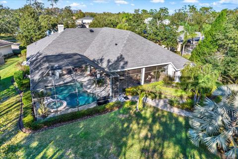 A home in LAND O LAKES