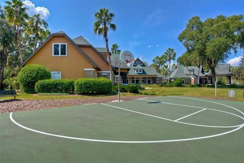 A home in LAND O LAKES