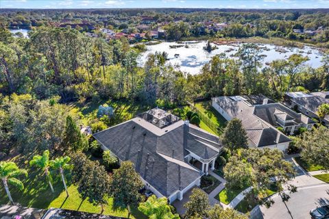 A home in LAND O LAKES