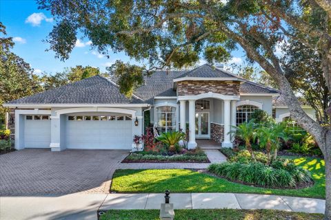 A home in LAND O LAKES